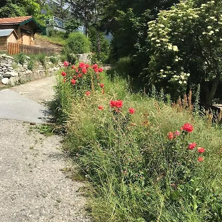 Bellavista ホームステイ *
